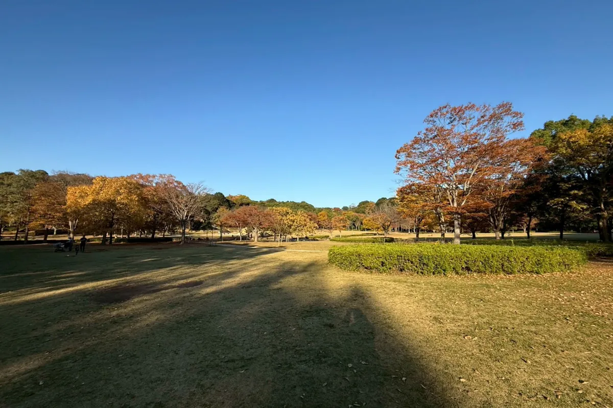21世紀の森と広場