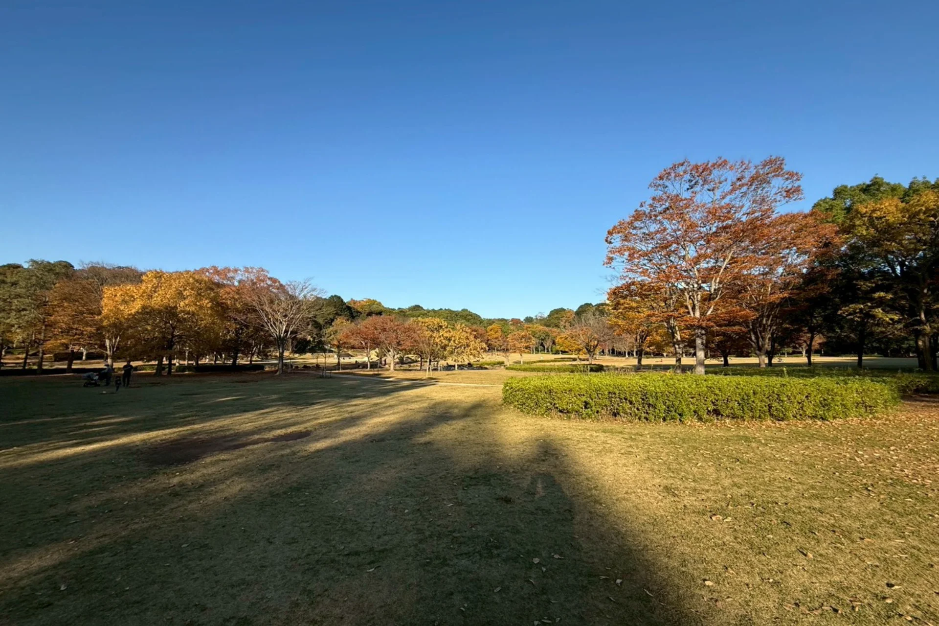 21世紀の森と広場